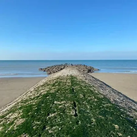 Stylish With Sea View For 4 People Apartment Ostend